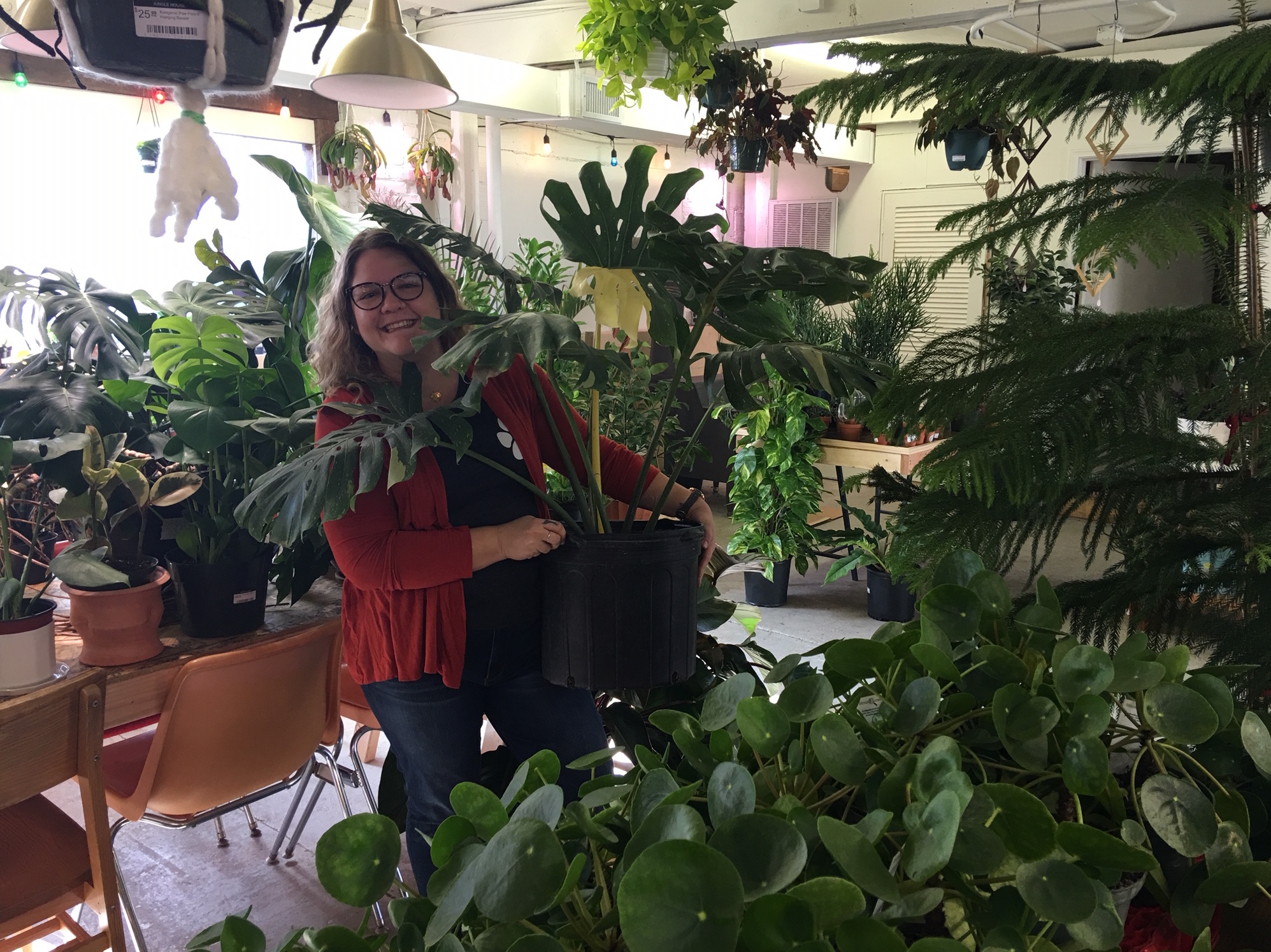 Jungle House plant store aims to combat winter blues News, Sports